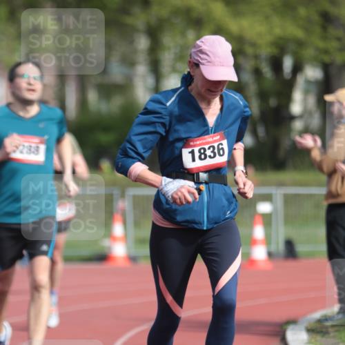 13.04.2025 - Hammer Lauf A. Gomolzig http://msf.ph/oto/7661112 13.04.2025 10:44:37 Ziel 181, 291, 752, 776, 1288, 1836, 1927, 1928 meine-sportfotos.de