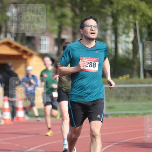 13.04.2025 - Hammer Lauf A. Gomolzig http://msf.ph/oto/7661114 13.04.2025 10:44:37 Ziel 181, 291, 752, 776, 1288, 1836, 1927, 1928 meine-sportfotos.de