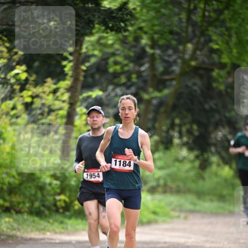 13.04.2025 - Hammer Lauf Dr. Thomas Lammeyer http://msf.ph/oto/7661180 13.04.2025 11:26:10 Laufen 1954, 15, 1184 meine-sportfotos.de