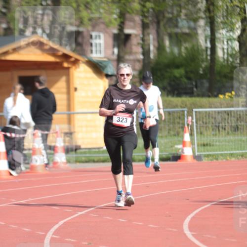 13.04.2025 - Hammer Lauf A. Gomolzig http://msf.ph/oto/7661191 13.04.2025 10:45:32 Ziel 110, 209, 323 meine-sportfotos.de