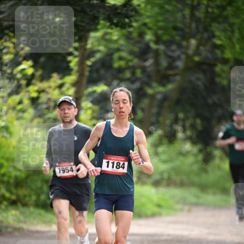 13.04.2025 - Hammer Lauf Dr. Thomas Lammeyer http://msf.ph/oto/7661192 13.04.2025 11:26:10 Laufen 1954, 15, 1184 meine-sportfotos.de