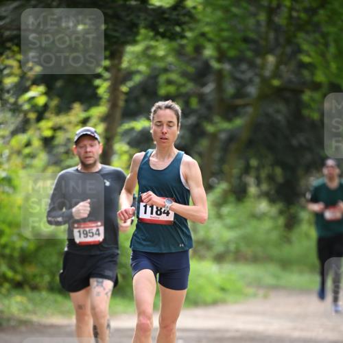 13.04.2025 - Hammer Lauf Dr. Thomas Lammeyer http://msf.ph/oto/7661195 13.04.2025 11:26:10 Laufen 1954, 1184 meine-sportfotos.de