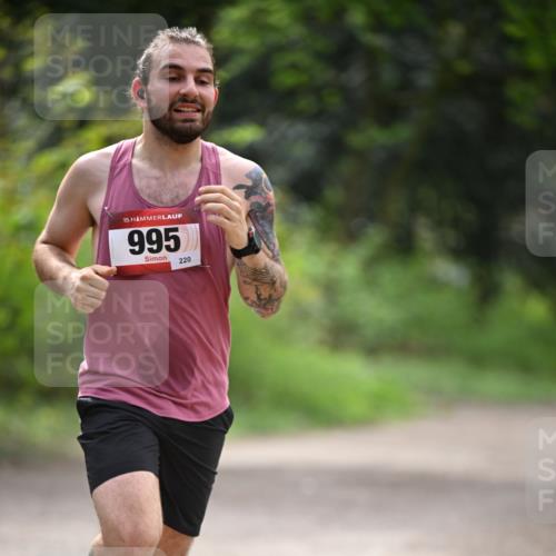 13.04.2025 - Hammer Lauf Dr. Thomas Lammeyer http://msf.ph/oto/7661359 13.04.2025 11:26:24 Laufen 15, 995, 220 meine-sportfotos.de
