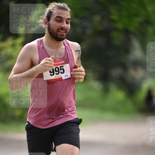 13.04.2025 - Hammer Lauf Dr. Thomas Lammeyer http://msf.ph/oto/7661366 13.04.2025 11:26:25 Laufen 995, 220 meine-sportfotos.de