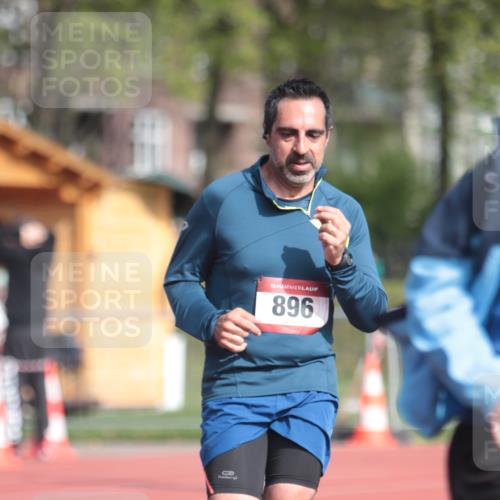 13.04.2025 - Hammer Lauf A. Gomolzig http://msf.ph/oto/7661418 13.04.2025 10:48:16 Ziel 896, 946, 1830 meine-sportfotos.de