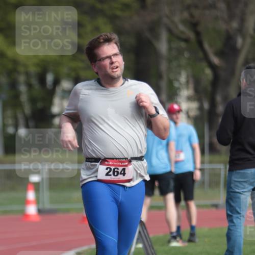 13.04.2025 - Hammer Lauf A. Gomolzig http://msf.ph/oto/7661930 13.04.2025 10:53:32 Ziel 264, 717 meine-sportfotos.de