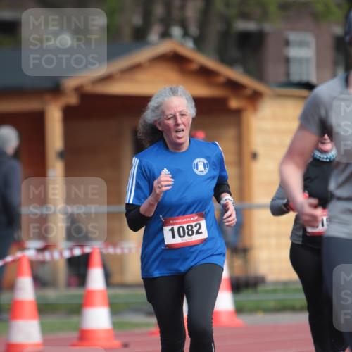 13.04.2025 - Hammer Lauf A. Gomolzig http://msf.ph/oto/7662035 13.04.2025 10:55:35 Ziel 415, 1082, 1226 meine-sportfotos.de