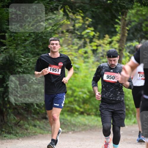 13.04.2025 - Hammer Lauf Dr. Thomas Lammeyer http://msf.ph/oto/7662112 13.04.2025 11:28:38 Laufen 1951, 15, 950, 125 meine-sportfotos.de