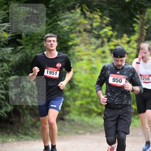 13.04.2025 - Hammer Lauf Dr. Thomas Lammeyer http://msf.ph/oto/7662122 13.04.2025 11:28:38 Laufen 1951, 15, 950, 1258 meine-sportfotos.de