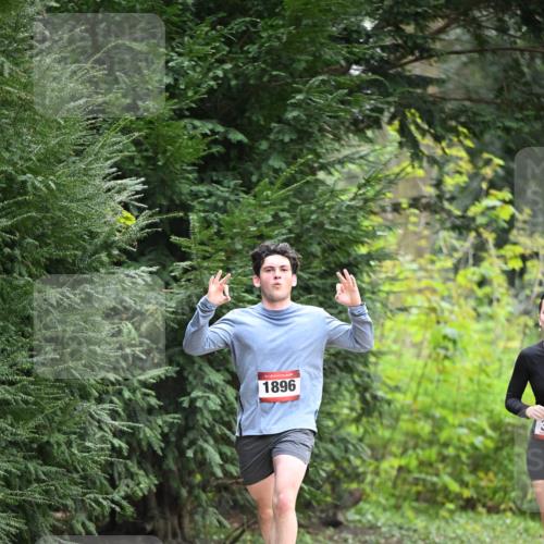 13.04.2025 - Hammer Lauf Dr. Thomas Lammeyer http://msf.ph/oto/7662381 13.04.2025 11:29:24 Laufen 1896, 3 meine-sportfotos.de