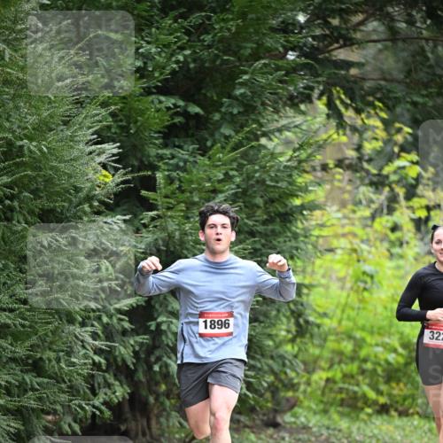 13.04.2025 - Hammer Lauf Dr. Thomas Lammeyer http://msf.ph/oto/7662383 13.04.2025 11:29:24 Laufen 1896, 322 meine-sportfotos.de