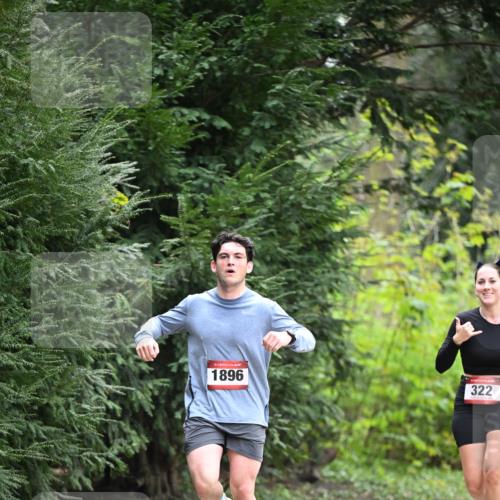 13.04.2025 - Hammer Lauf Dr. Thomas Lammeyer http://msf.ph/oto/7662386 13.04.2025 11:29:25 Laufen 15, 1896, 322 meine-sportfotos.de