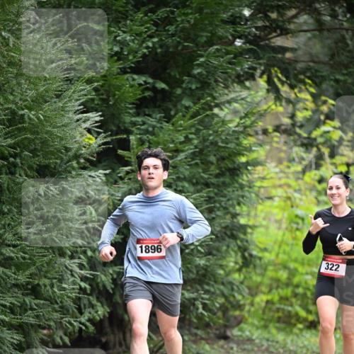 13.04.2025 - Hammer Lauf Dr. Thomas Lammeyer http://msf.ph/oto/7662388 13.04.2025 11:29:25 Laufen 15, 1896, 322 meine-sportfotos.de