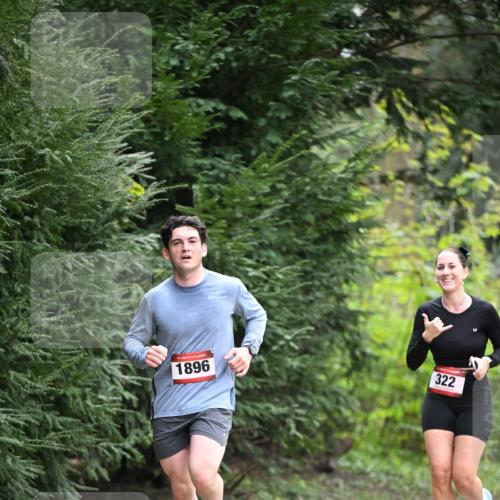 13.04.2025 - Hammer Lauf Dr. Thomas Lammeyer http://msf.ph/oto/7662393 13.04.2025 11:29:25 Laufen 1896, 322 meine-sportfotos.de
