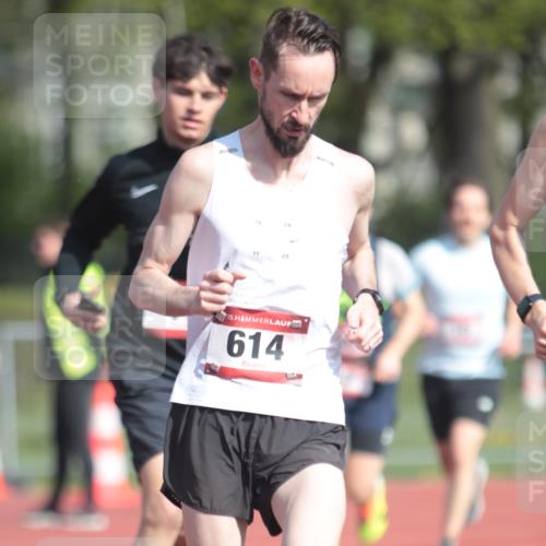 13.04.2025 - Hammer Lauf A. Gomolzig http://msf.ph/oto/7662425 13.04.2025 11:01:54 Ziel 13, 16, 17, 262, 340, 481, 614, 1948 meine-sportfotos.de