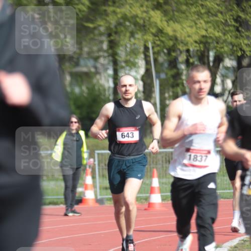 13.04.2025 - Hammer Lauf A. Gomolzig http://msf.ph/oto/7662453 13.04.2025 11:02:09 Ziel 12, 133, 312, 485, 492, 493, 559, 578, 643, 1028, 1044, 1257, 1303, 1727, 1835, 1837, 1923, 1958 meine-sportfotos.de