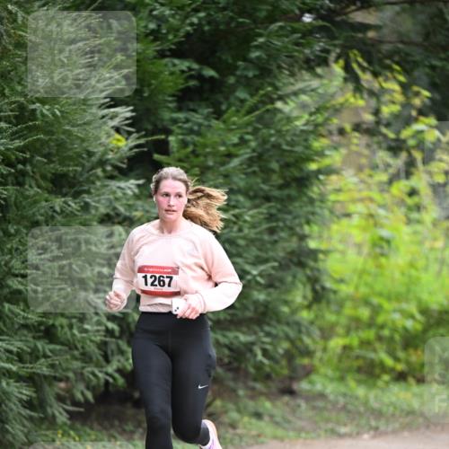 13.04.2025 - Hammer Lauf Dr. Thomas Lammeyer http://msf.ph/oto/7662456 13.04.2025 11:29:31 Laufen 15, 1267 meine-sportfotos.de
