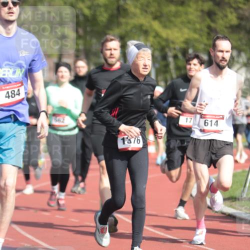 13.04.2025 - Hammer Lauf A. Gomolzig http://msf.ph/oto/7662576 13.04.2025 11:03:23 Ziel 13, 16, 17, 167, 191, 231, 340, 456, 474, 484, 502, 548, 662, 817, 818, 1103, 1376, 1768, 1939, 1945 meine-sportfotos.de