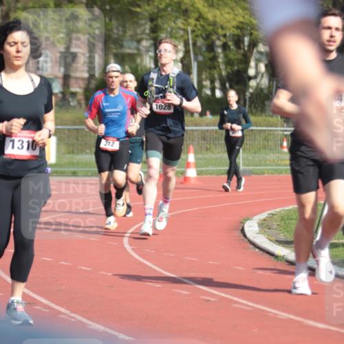 13.04.2025 - Hammer Lauf A. Gomolzig http://msf.ph/oto/7662615 13.04.2025 11:03:52 Ziel 12, 133, 229, 312, 559, 643, 1028, 1044, 1257, 1310 meine-sportfotos.de