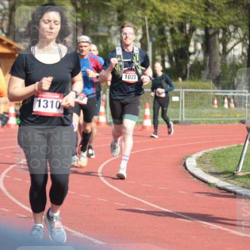 13.04.2025 - Hammer Lauf A. Gomolzig http://msf.ph/oto/7662617 13.04.2025 11:03:52 Ziel 12, 133, 229, 312, 559, 643, 1028, 1044, 1257, 1310 meine-sportfotos.de