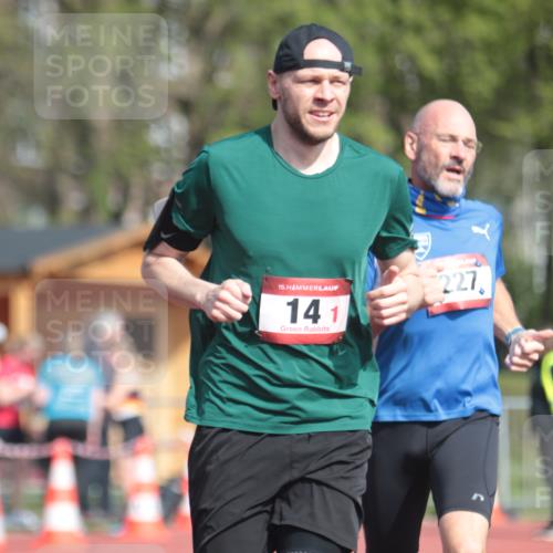 13.04.2025 - Hammer Lauf A. Gomolzig http://msf.ph/oto/7662666 13.04.2025 11:04:19 Ziel 14, 227, 250, 601, 732, 1184, 1371, 1783, 1940 meine-sportfotos.de