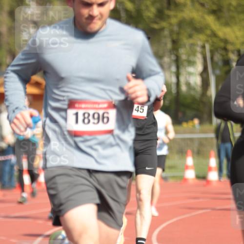 13.04.2025 - Hammer Lauf A. Gomolzig http://msf.ph/oto/7662722 13.04.2025 11:04:50 Ziel 1, 178, 313, 322, 384, 630, 654, 693, 704, 929, 986, 1002, 1267, 1900, 1930 meine-sportfotos.de