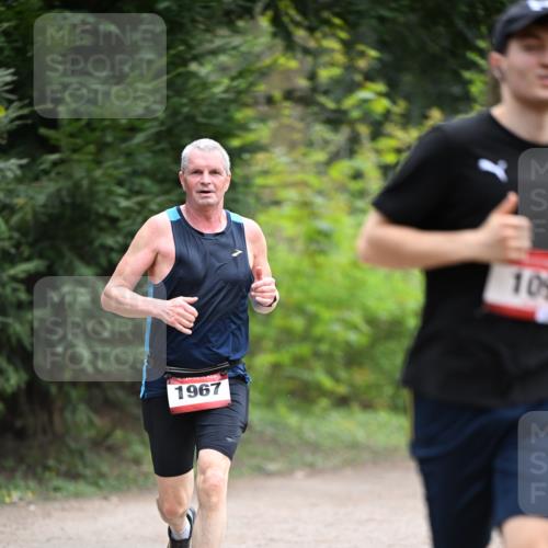 13.04.2025 - Hammer Lauf Dr. Thomas Lammeyer http://msf.ph/oto/7662734 13.04.2025 11:30:09 Laufen 1967, 10 meine-sportfotos.de