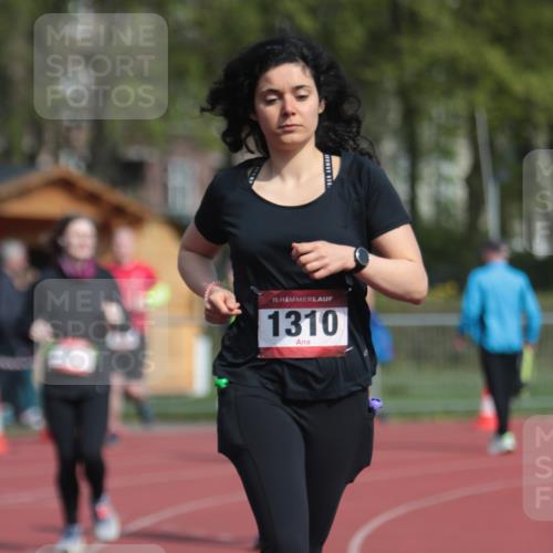 13.04.2025 - Hammer Lauf A. Gomolzig http://msf.ph/oto/7662850 13.04.2025 11:06:27 Ziel 5, 134, 234, 1310 meine-sportfotos.de