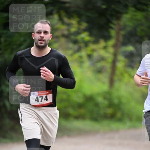 13.04.2025 - Hammer Lauf Dr. Thomas Lammeyer http://msf.ph/oto/7663295 13.04.2025 11:31:28 Laufen 207, 474 meine-sportfotos.de