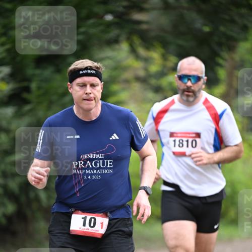 13.04.2025 - Hammer Lauf Dr. Thomas Lammeyer http://msf.ph/oto/7663365 13.04.2025 11:31:39 Laufen 5, 4, 2025, 101, 1810 meine-sportfotos.de