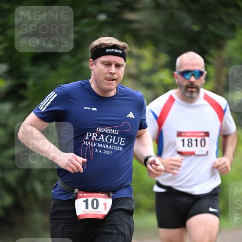 13.04.2025 - Hammer Lauf Dr. Thomas Lammeyer http://msf.ph/oto/7663369 13.04.2025 11:31:39 Laufen 5, 4, 2025, 15, 101, 1810 meine-sportfotos.de