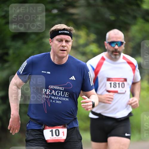 13.04.2025 - Hammer Lauf Dr. Thomas Lammeyer http://msf.ph/oto/7663371 13.04.2025 11:31:39 Laufen 5, 4, 2025, 15, 101, 1810 meine-sportfotos.de