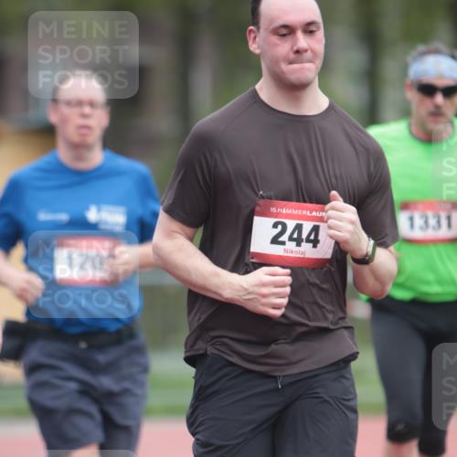 13.04.2025 - Hammer Lauf A. Gomolzig http://msf.ph/oto/7663650 13.04.2025 11:34:48 Ziel 244, 762, 1208, 1331 meine-sportfotos.de