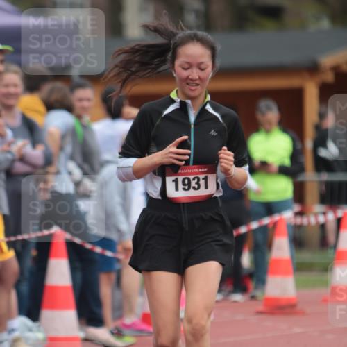 13.04.2025 - Hammer Lauf A. Gomolzig http://msf.ph/oto/7663674 13.04.2025 11:35:04 Ziel 3, 1103, 1931 meine-sportfotos.de