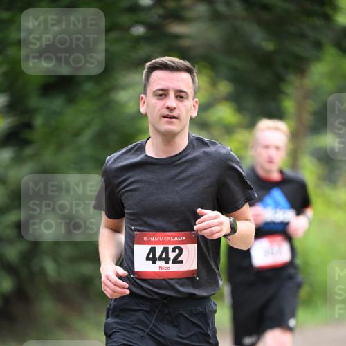 13.04.2025 - Hammer Lauf Dr. Thomas Lammeyer http://msf.ph/oto/7663684 13.04.2025 11:32:19 Laufen 15, 442 meine-sportfotos.de