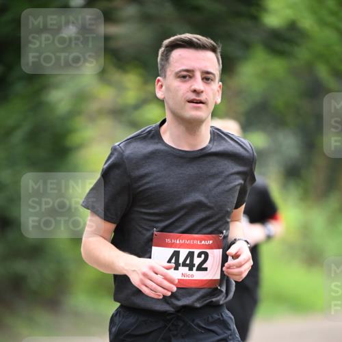 13.04.2025 - Hammer Lauf Dr. Thomas Lammeyer http://msf.ph/oto/7663691 13.04.2025 11:32:19 Laufen 15, 442 meine-sportfotos.de