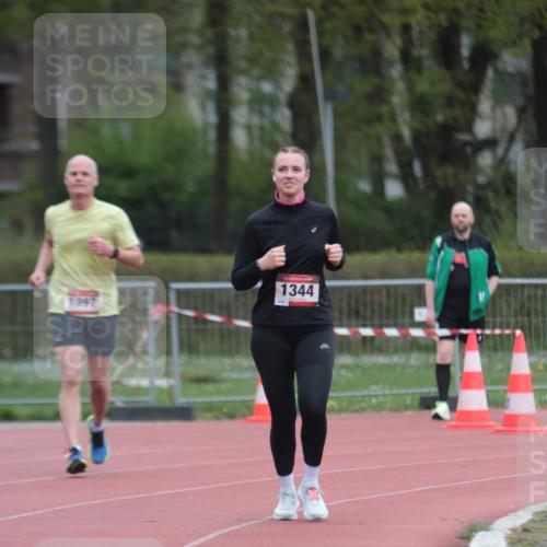 13.04.2025 - Hammer Lauf A. Gomolzig http://msf.ph/oto/7663699 13.04.2025 11:35:29 Ziel 654, 1344, 1897 meine-sportfotos.de