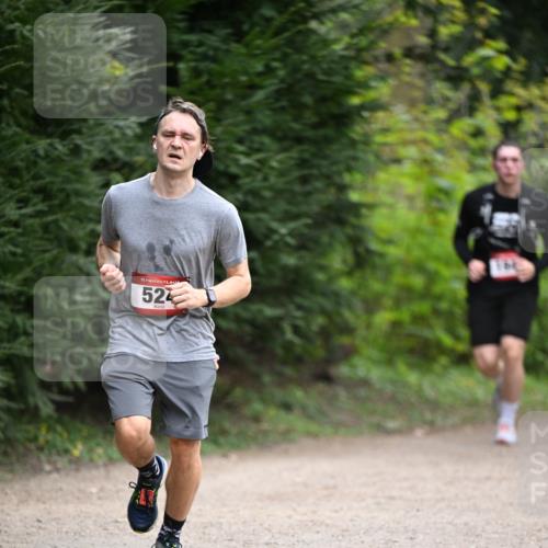 13.04.2025 - Hammer Lauf Dr. Thomas Lammeyer http://msf.ph/oto/7663801 13.04.2025 11:32:36 Laufen 15, 524 meine-sportfotos.de