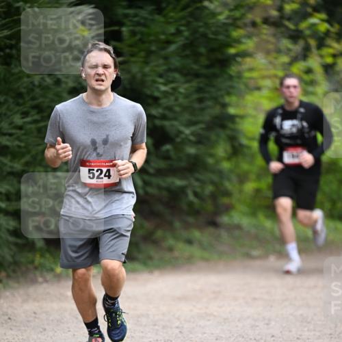 13.04.2025 - Hammer Lauf Dr. Thomas Lammeyer http://msf.ph/oto/7663808 13.04.2025 11:32:37 Laufen 15, 524 meine-sportfotos.de