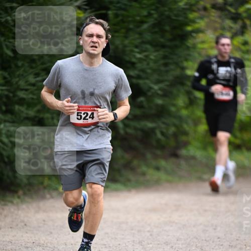 13.04.2025 - Hammer Lauf Dr. Thomas Lammeyer http://msf.ph/oto/7663813 13.04.2025 11:32:37 Laufen 524 meine-sportfotos.de