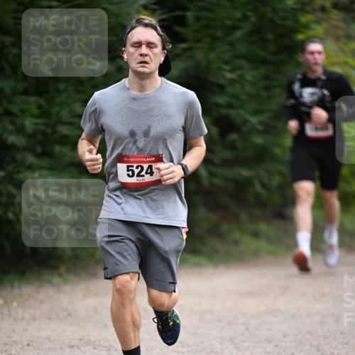 13.04.2025 - Hammer Lauf Dr. Thomas Lammeyer http://msf.ph/oto/7663819 13.04.2025 11:32:37 Laufen 15, 524 meine-sportfotos.de