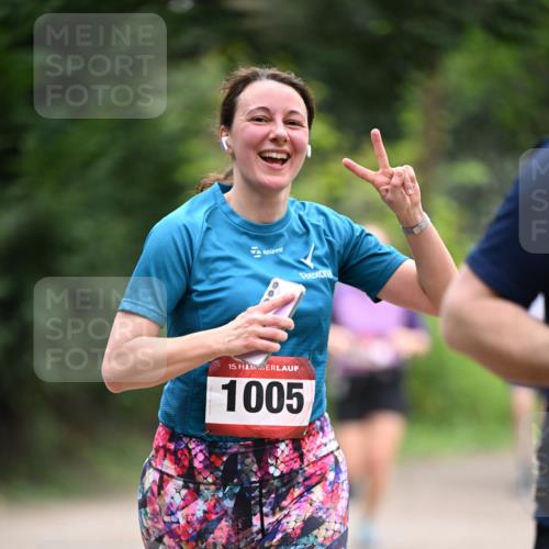 13.04.2025 - Hammer Lauf Dr. Thomas Lammeyer http://msf.ph/oto/7663895 13.04.2025 11:32:47 Laufen 15, 1005 meine-sportfotos.de
