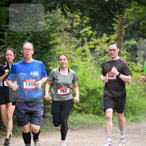 13.04.2025 - Hammer Lauf Dr. Thomas Lammeyer http://msf.ph/oto/7664025 13.04.2025 11:33:07 Laufen 1208, 15, 762, 244 meine-sportfotos.de