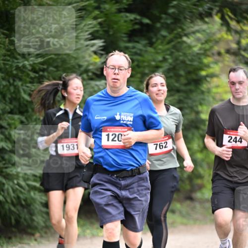 13.04.2025 - Hammer Lauf Dr. Thomas Lammeyer http://msf.ph/oto/7664034 13.04.2025 11:33:08 Laufen 1931, 21, 2013, 15, 120, 762, 244 meine-sportfotos.de