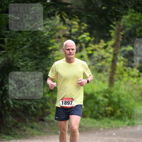 13.04.2025 - Hammer Lauf Dr. Thomas Lammeyer http://msf.ph/oto/7664091 13.04.2025 11:33:35 Laufen 1897 meine-sportfotos.de