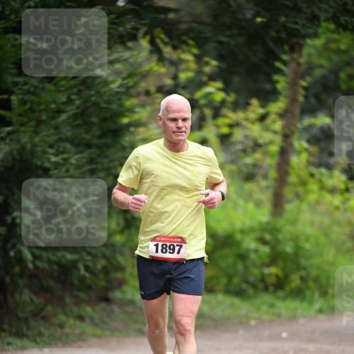 13.04.2025 - Hammer Lauf Dr. Thomas Lammeyer http://msf.ph/oto/7664093 13.04.2025 11:33:35 Laufen 15, 1897 meine-sportfotos.de