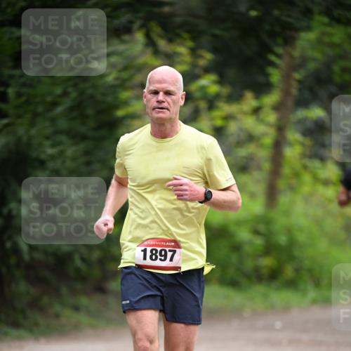 13.04.2025 - Hammer Lauf Dr. Thomas Lammeyer http://msf.ph/oto/7664114 13.04.2025 11:33:36 Laufen 15, 1897 meine-sportfotos.de