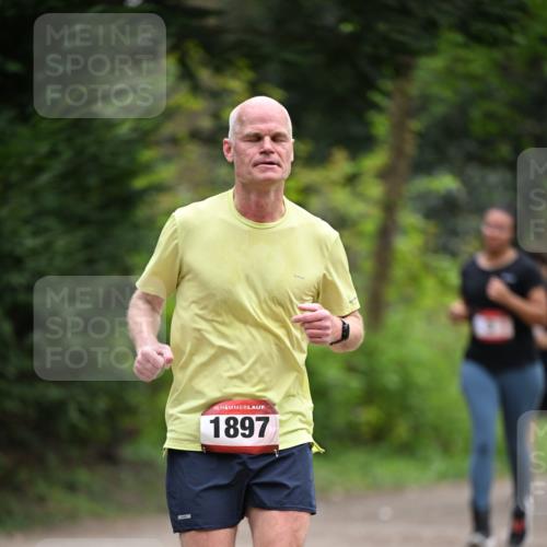 13.04.2025 - Hammer Lauf Dr. Thomas Lammeyer http://msf.ph/oto/7664121 13.04.2025 11:33:36 Laufen 15, 1897 meine-sportfotos.de