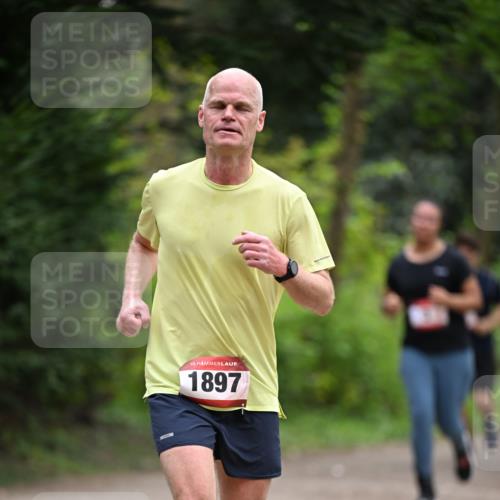 13.04.2025 - Hammer Lauf Dr. Thomas Lammeyer http://msf.ph/oto/7664123 13.04.2025 11:33:36 Laufen 15, 1897 meine-sportfotos.de