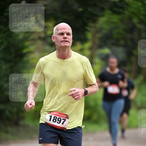 13.04.2025 - Hammer Lauf Dr. Thomas Lammeyer http://msf.ph/oto/7664128 13.04.2025 11:33:37 Laufen 15, 1897 meine-sportfotos.de